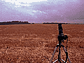 n01_19a
