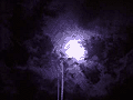r11_06